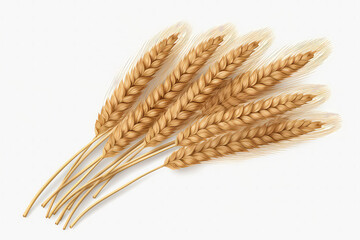 Wheat Ears Are Isolated On Transparent Background