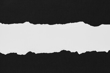 Ripped paper, space for copy