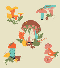 a set of edible mushrooms in cartoon style.