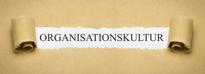 Organisationskultur 