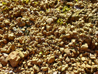 Close-up of gravel on the roadside under the sun.