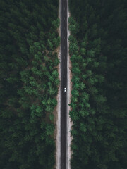 Aerial view taken by drone of a car driving on a forest road in autumn - obrazy, fototapety, plakaty
