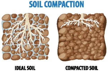 Wallpaper murals Kids Comparison of Soil Compaction Density in Science Education