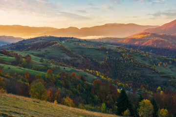 carpathian countryside at sunrise in autumn. rural fields and forested hill in morning light....