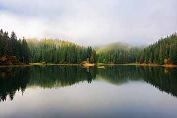 Fototapeta na wymiar foggy morning by the lake in mountains. beautiful autumn landscape with overcast sky. nature scenery reflecting in the water. synevyr national park, ukraine