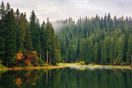 mountain lake among forest in autumn. nature scenery in fog at sunrise. cold overcast weather