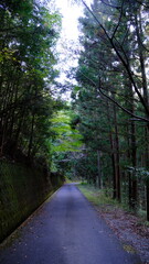 山への道