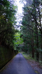 山への道