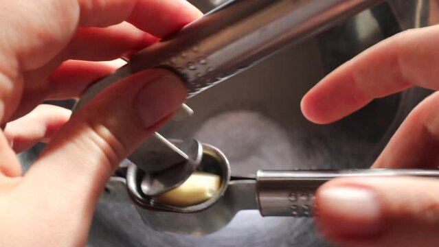 The chef is squeezes a raw clove of garlic with a press. Crushing garlic by squeezing garlic cloves.  