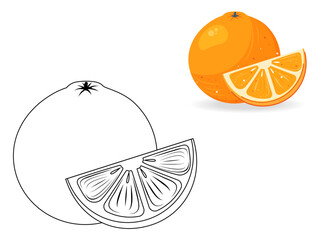 Cute coloring book - ripe, juicy orange. Summer, outdoor recreation. Tropical fruits. Cute, vector, illustration.