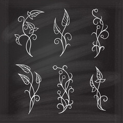 Trendy botanical elements set. Simple and elegant ivy doodles collection on the chalkboard background - obrazy, fototapety, plakaty