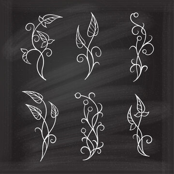 Trendy botanical elements set. Simple and elegant ivy doodles collection on the chalkboard background