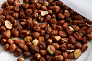 Fresh, young, unroasted hazelnuts or hazelnut kernels. Against the background of a delicate white curtain. Daylight. Natural color.