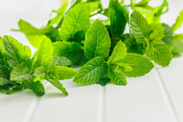 Green mint leaves on white table.