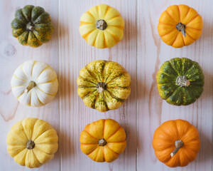 Cute colorful mini pumpkins on white wooden background, view from above, flat lay style. Autumnal composition for Halloween or Thanksgiving celebration.