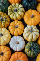 Many colorful mini pumpkins and gourds, view from above. Fall texture for background. Halloween or Thanksgiving celebration.