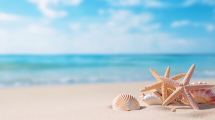 Vacation summer holiday travel tropical ocean sea panorama landscape - Close up of many seashells, sea shell on the sandy beach, with ocean in the background