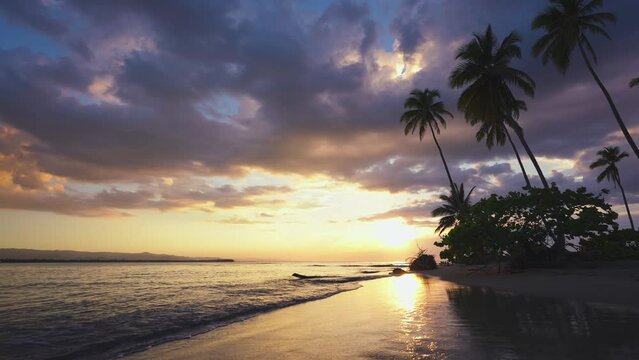 Bright summer sunset on a paradise island in the Atlantic Ocean. Great summer sunset. Waves roll onto the sandy shore. A beach with palm trees goes into the sea against the backdrop of the setting sun
