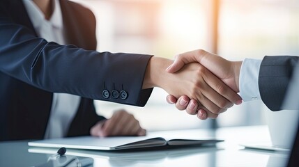 Professional Agreement. A Successful Interview Handshake.