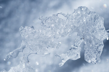 Fototapeta premium 凍る雪 