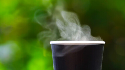 coffee takeaway in a paper cup on top of the car roof green tree background at sunrise in the...