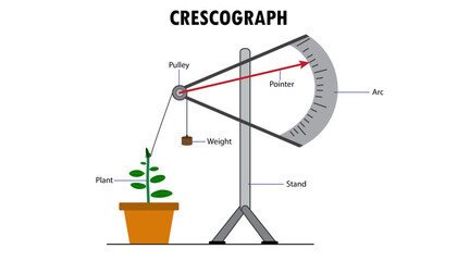 Crescograph diagram, how it works