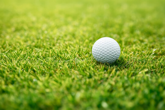 Close up of golf ball in background of beautiful golf course. lifestyle concept.of sports and hobbies.