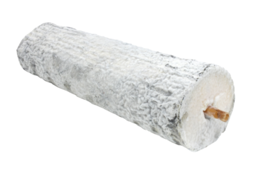 Fromage - Sainte-Maure de Touraine / Font transparent 