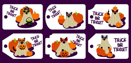 Set of bright tags for Halloween with cute cats in costumes, horizontal. Illustration of greeting cards for printing. Design for Halloween. Collection of characters on a white background. Gift labels