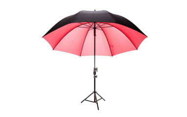 Creative Photography with Umbrella Light on isolated background