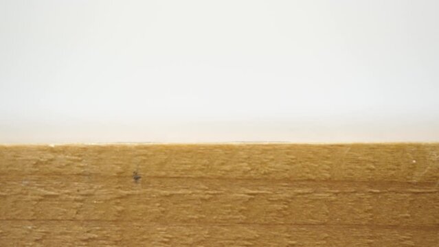 通り過ぎるクモ