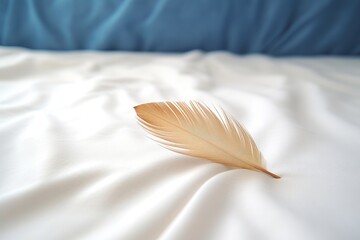 a minimalist shot of a single feather on a clean, white bedspread - obrazy, fototapety, plakaty