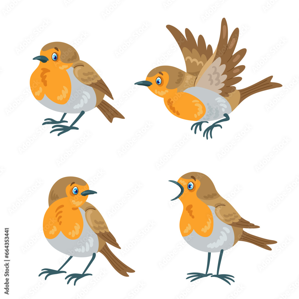 Poster Set of four red robin birds in  various poses. In cartoon style. Isolated on white background. Vector flat illustration.