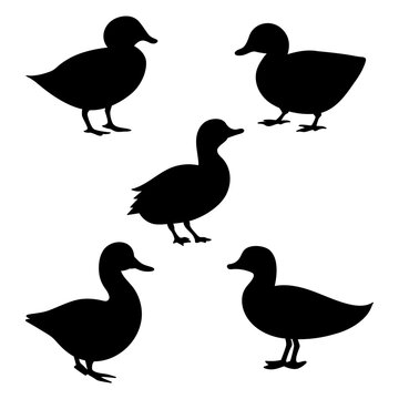 Duck set of black silhouettes vector.