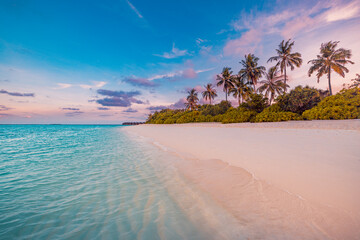 Amazing closeup sea wave beach panorama. Dramatic romantic colorful sunset paradise island coconut...