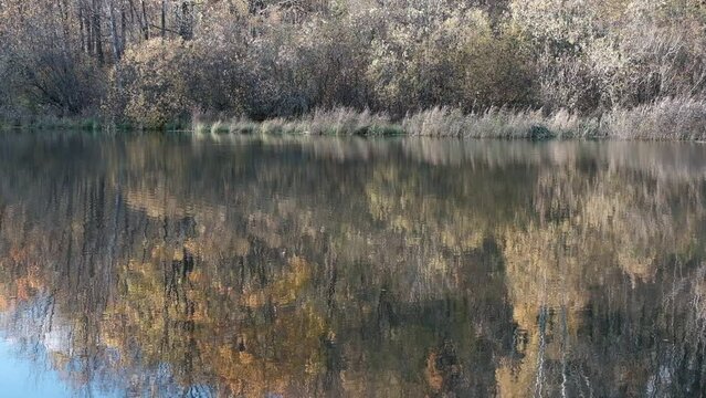 Reflection of autumn foliage in the lake