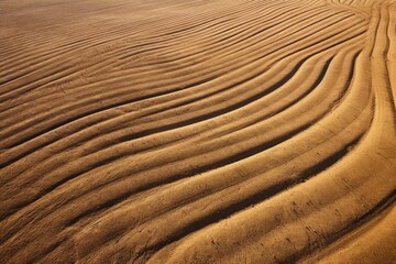 Aerial Tractor Tracks on Plowed Field