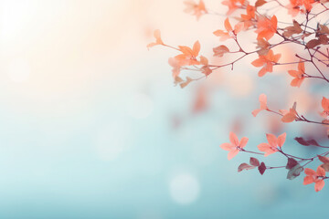 delicate texture of orange and blue colors. flowers in the meadow with background blur and bokeh. place for text