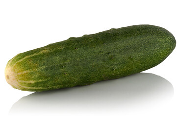 Ripe cucumber on a white background