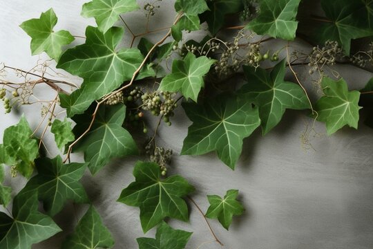 Image of leaves and ivy, a material. Generative AI