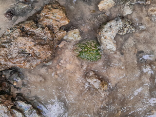 Rocks on the shore at East Java beach