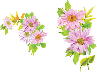 floral daisy bouquet and branches design 