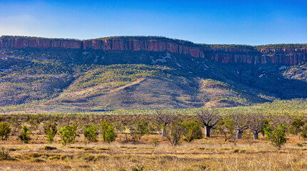 Fototapeta na wymiar Landscape scene, El Questro, Kimberley, West Australia, Australia