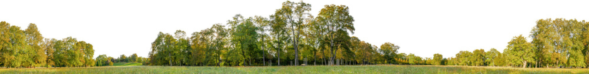 tree line trees autumn xl horizontal seamless arch viz cutout - 664376279
