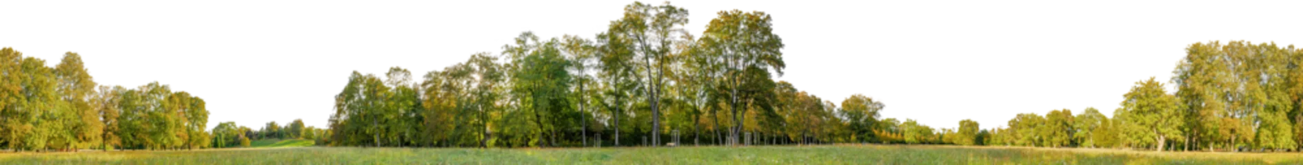 Abwaschbare Fototapete Wiese, Sumpf tree line trees autumn xl horizontal seamless arch viz cutout