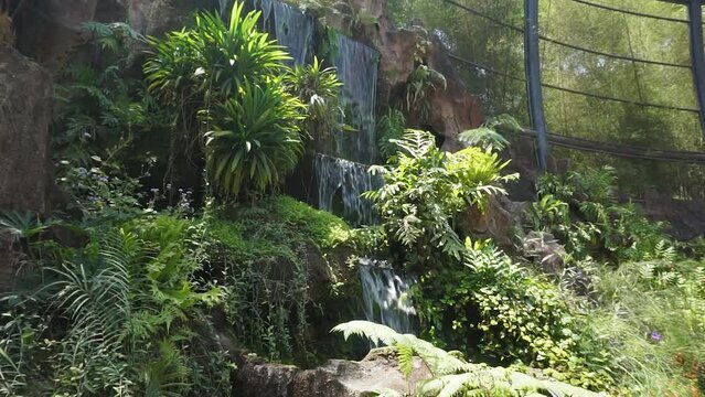 Artificial water fall in a large botanical garden inside the aviary dome. Man made rock and water fall. 