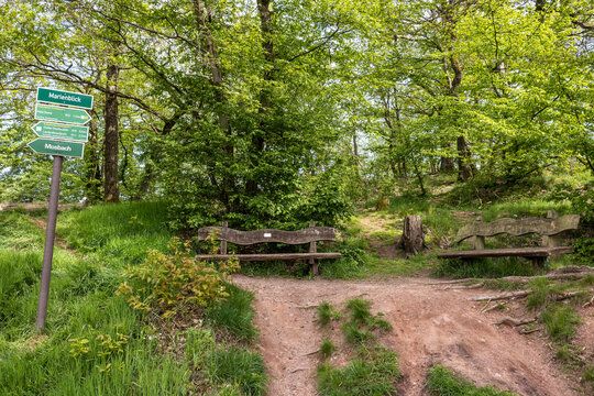 Bilder aus der Drachenschlucht bei Eisenach Th&uuml;ringen