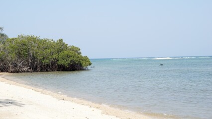Beach wave. Wallpaper aesthetic.