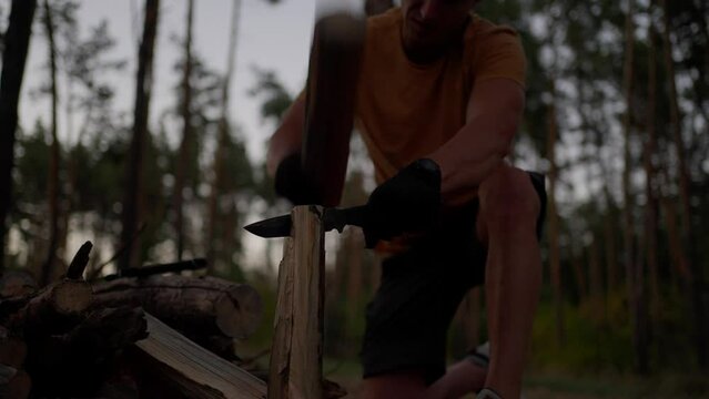 male tourist chops wood with large combat knife instead of an ax in evening in forest. traveler preparing firewood for campfire. man in wild. hiker outdoors surviving in wild nature, making fire