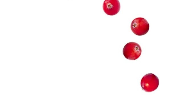 cranberry berry falls. background. healthy berries. 4k video illustration.